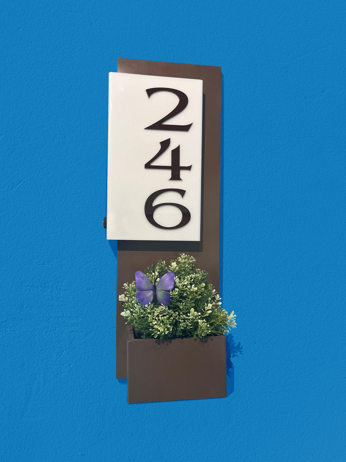 Boquerón Eléctrico