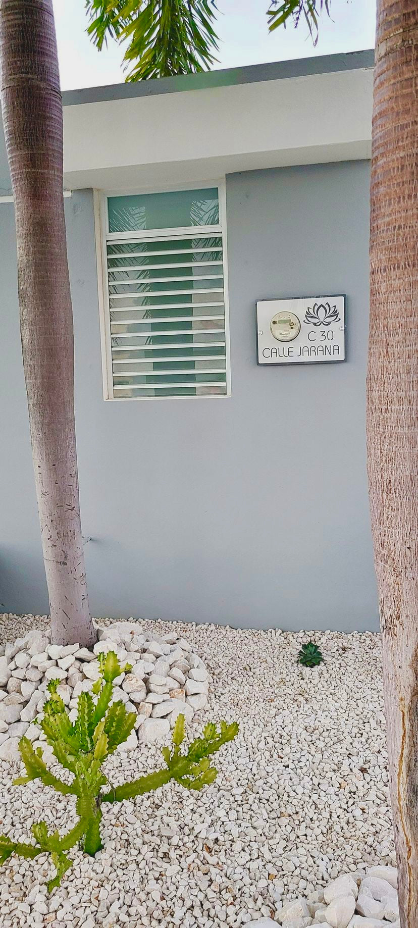 Tapa Pa' Contador Flor de Loto